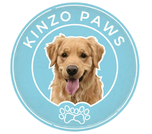 Best Gear for Your Pets  KinzoPaws