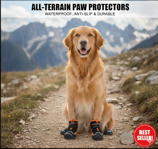 KinzoPaws Summer Breathable Mesh & Anti-Slip Dog Boots