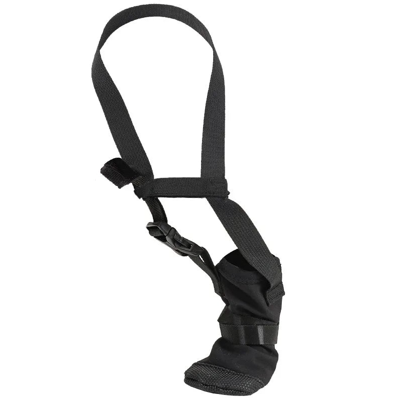 KinzoPaws Dog Forepaw Recovery Boot - Anti-Lick Wound Protector