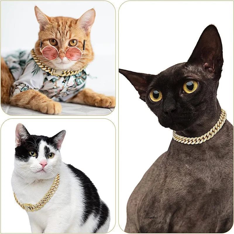 Pet Gold Plated Chain