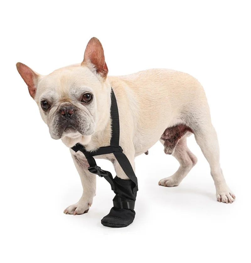 KinzoPaws Dog Forepaw Recovery Boot - Anti-Lick Wound Protector