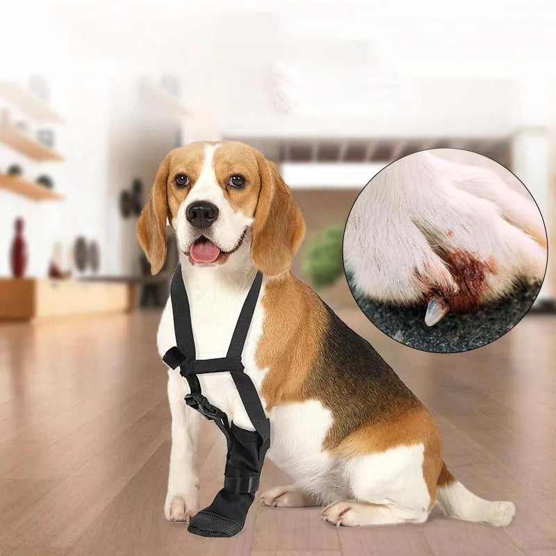 KinzoPaws Dog Forepaw Recovery Boot - Anti-Lick Wound Protector