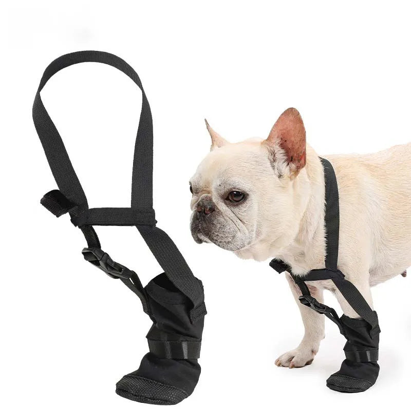 KinzoPaws Dog Forepaw Recovery Boot - Anti-Lick Wound Protector
