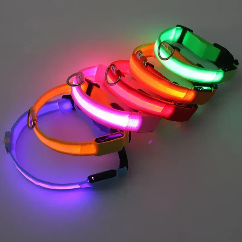 Glowing Dog Collar