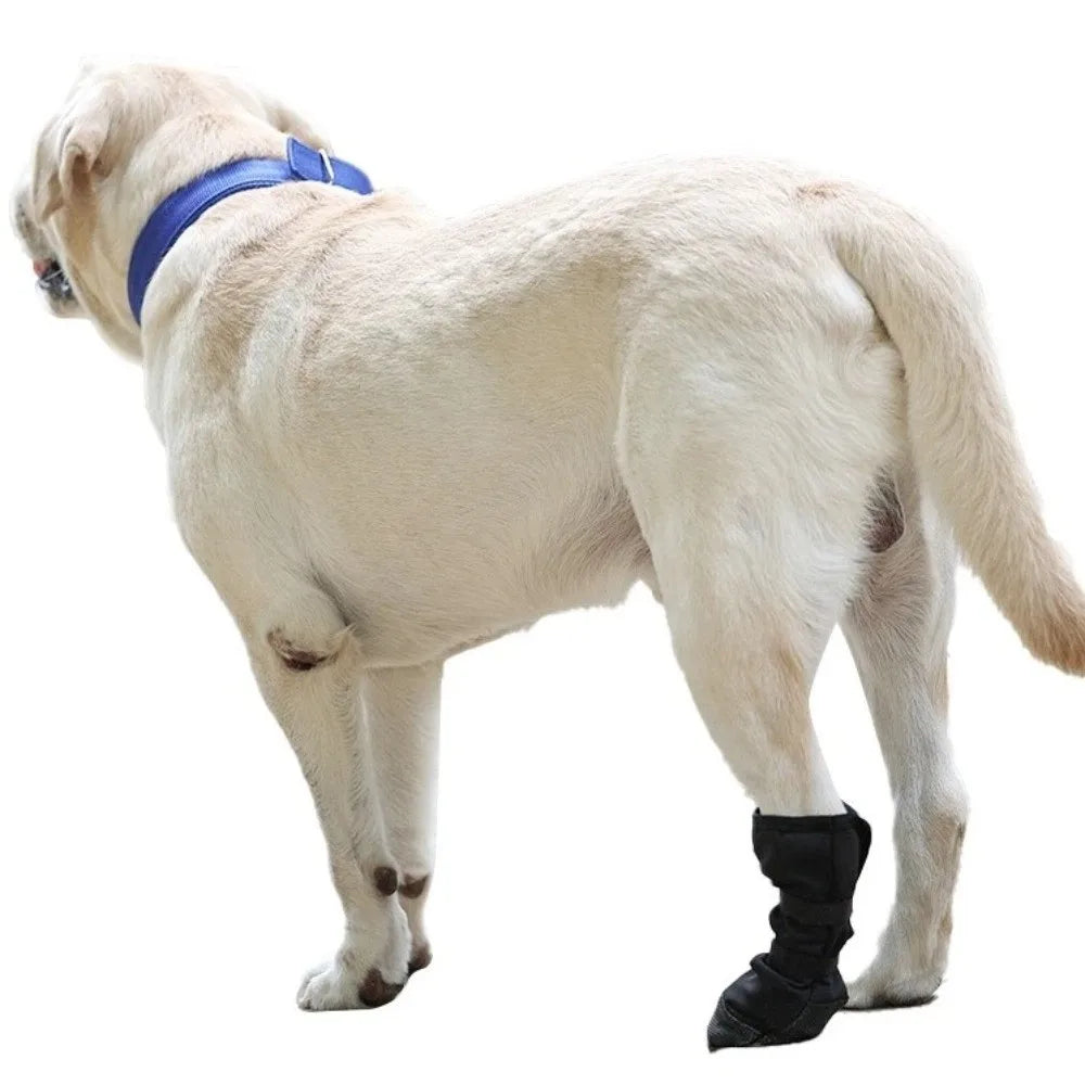 KinzoPaws Waterproof Dog & Cat Recovery Boot - Anti-Lick Paw Protector