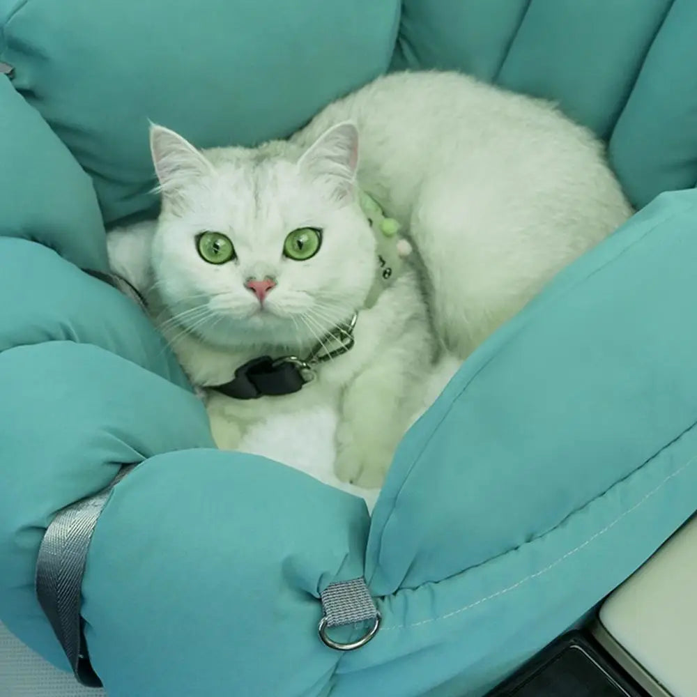 KinzoPaws Small Pet Foldable & Waterproof Dog Booster Basket