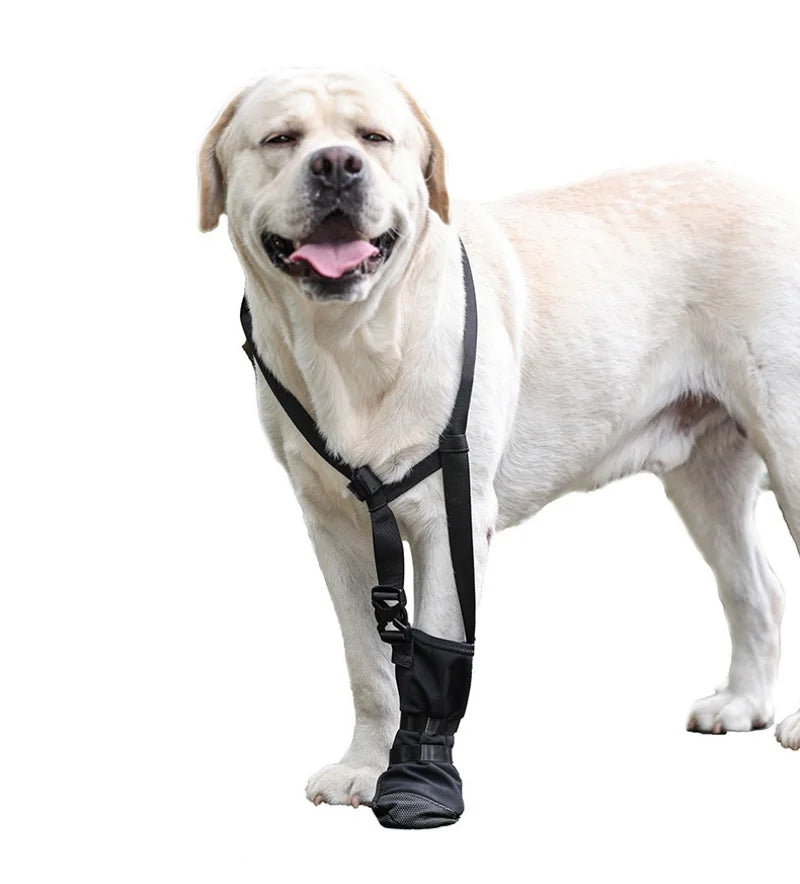 KinzoPaws Dog Forepaw Recovery Boot - Anti-Lick Wound Protector