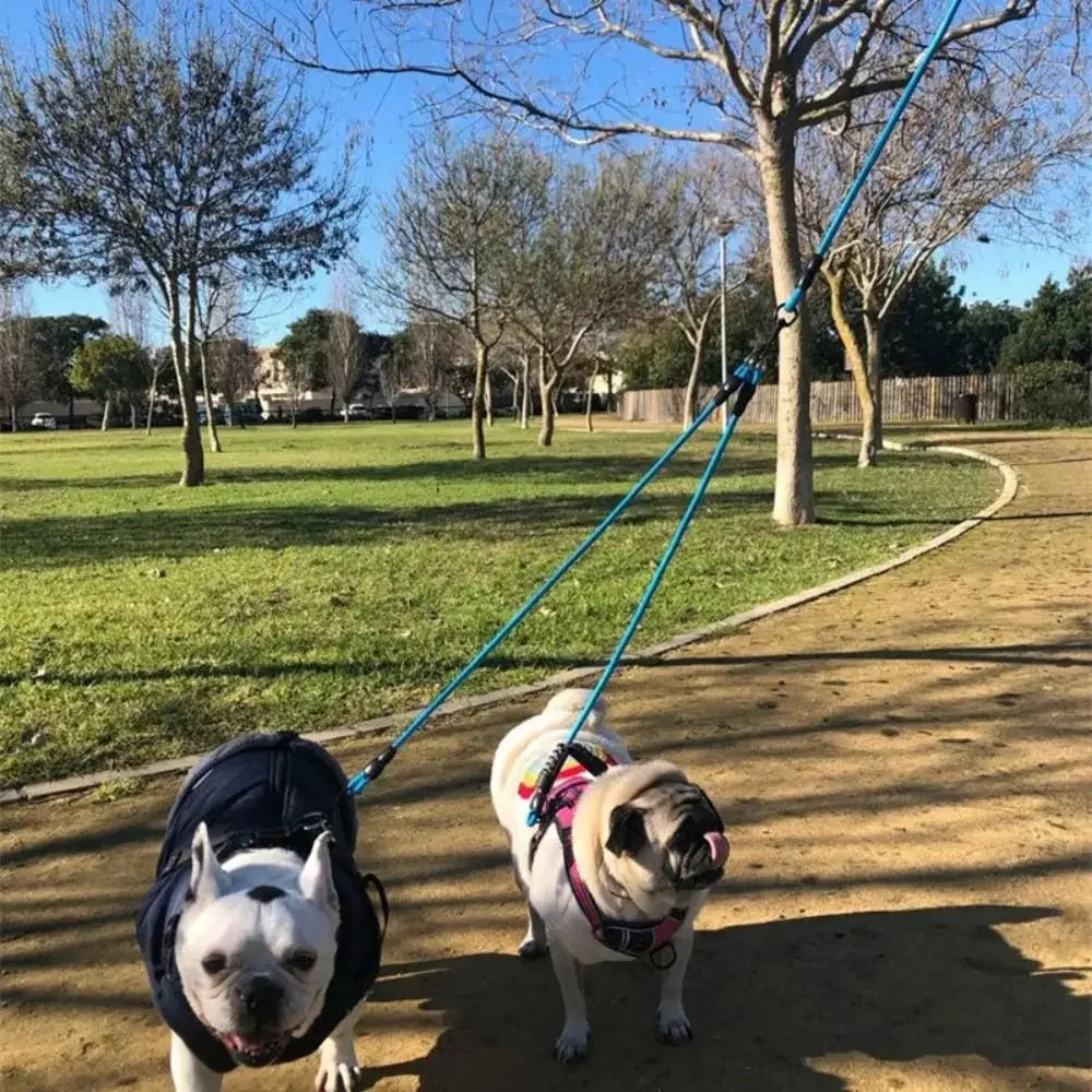 KinzoPaws Adjustable 2/3/4 Way Multi-Dog Leash with Foam Handle