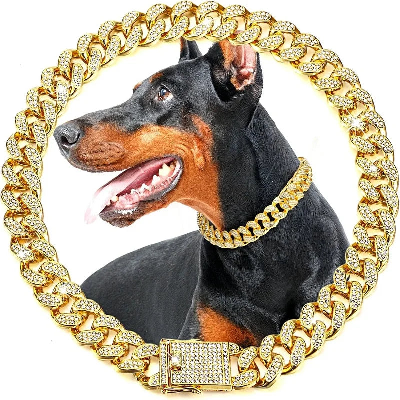 Pet Gold Plated Chain