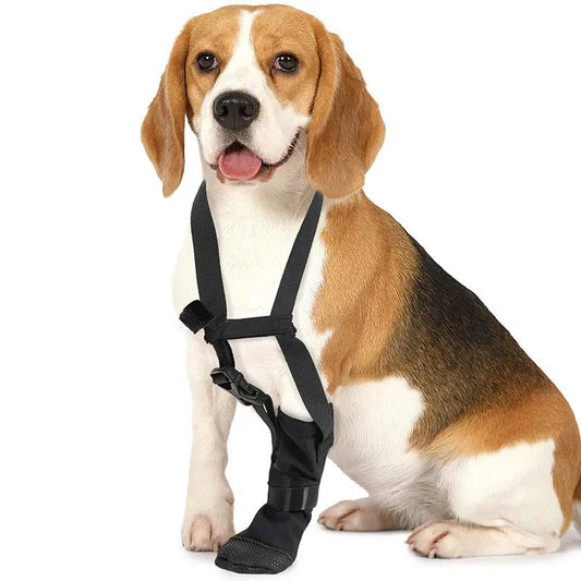 KinzoPaws Dog Forepaw Recovery Boot - Anti-Lick Wound Protector