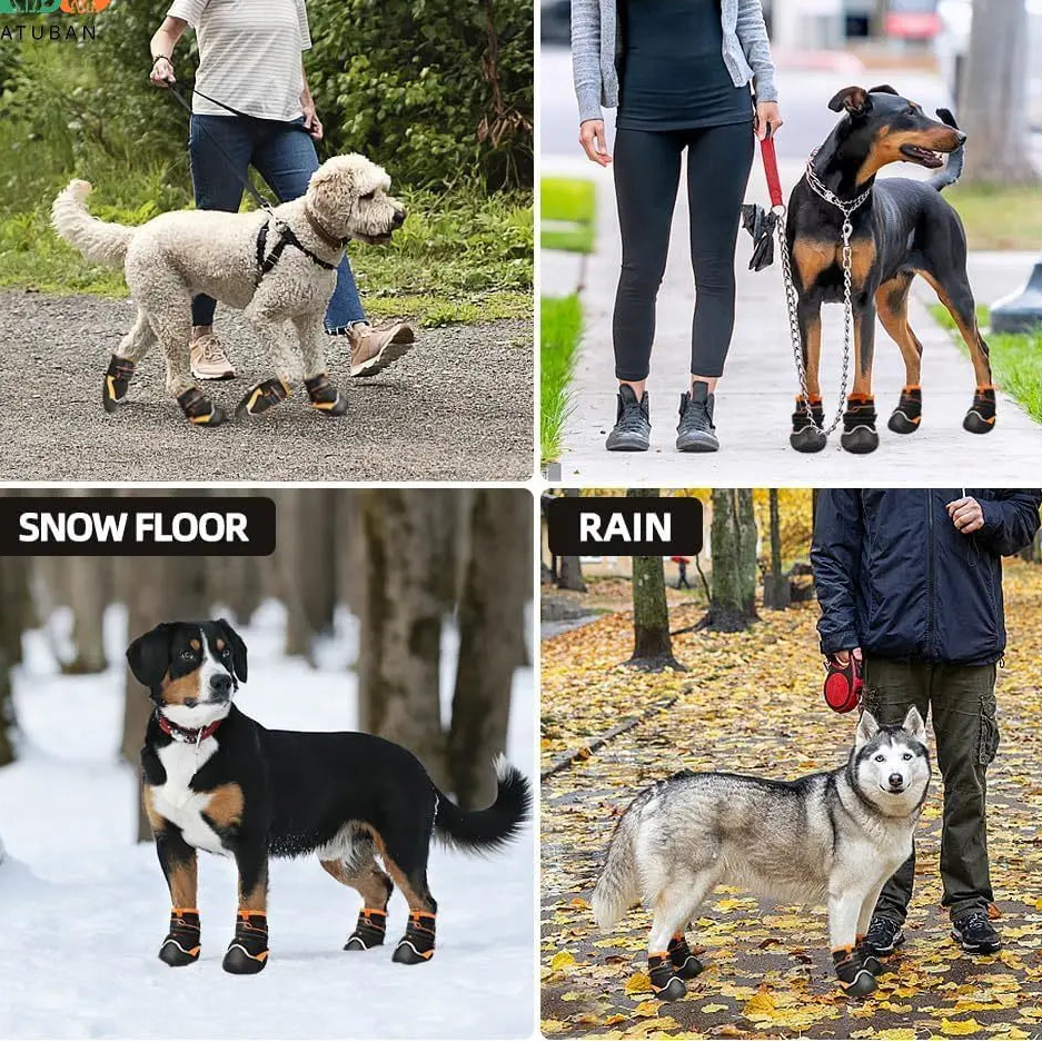 KinzoPaws Summer Breathable Mesh & Anti-Slip Dog Boots