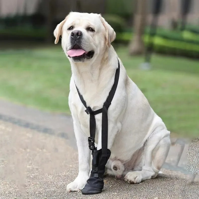 KinzoPaws Dog Forepaw Recovery Boot - Anti-Lick Wound Protector
