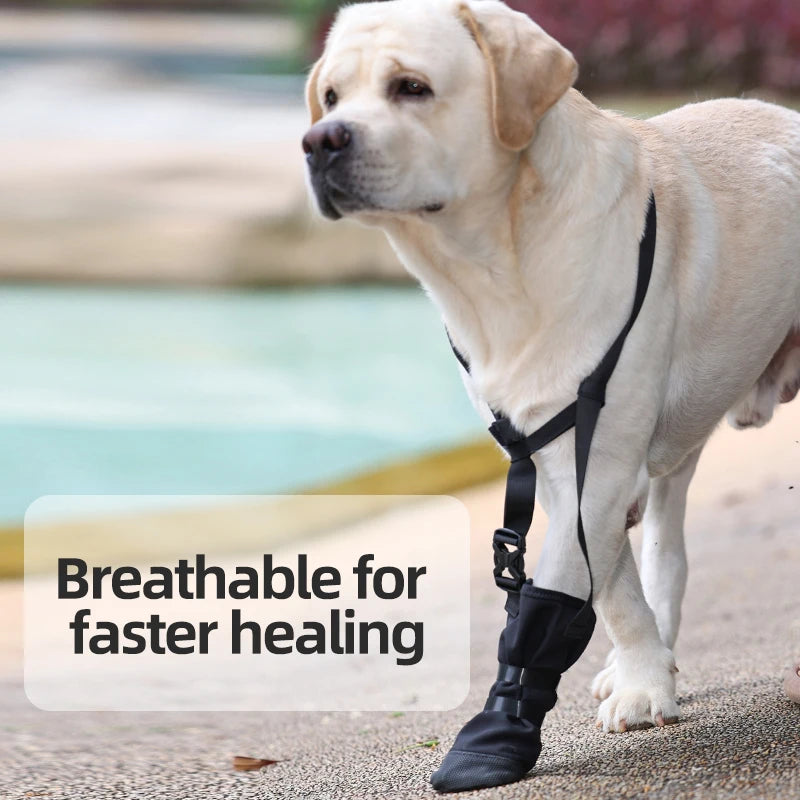 KinzoPaws Dog Forepaw Recovery Boot - Anti-Lick Wound Protector