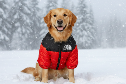 KinzoPaws Reversible Waterproof Dog Winter Jacket